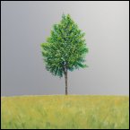 Archiv | Baum der Ruhe Besinnung Energiequelle 60x50 cm 2017
